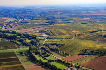 Sports field of SV Klingenmünster eV in Klingbachtal in Klingenmünster in the state Rhineland-Palatinate, Germany