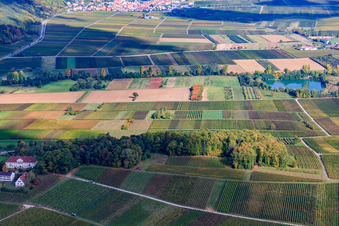 Aerial view of Palatinate Memorial for the Victims of Nazi Psychiatry in Klingenmünster in the state Rhineland-Palatinate, Germany