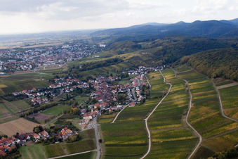 Aerial view of Vineyard Gottesacker am Haardtrand in the district Pleisweiler in Pleisweiler-Oberhofen in the state Rhineland-Palatinate, Germany