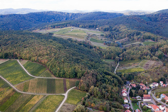 Haardtrand with vineyards Gottesacker and Wolfsteig in the district Pleisweiler in Pleisweiler-Oberhofen in the state Rhineland-Palatinate, Germany