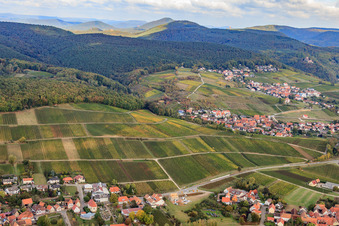 Gottesacker vineyard on the edge of the Haardt Mountains between Oberhofen and Gleishorbach in the district Oberhofen in Pleisweiler-Oberhofen in the state Rhineland-Palatinate, Germany