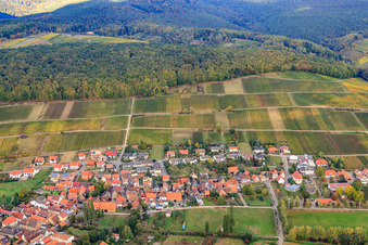 View of the winegrowers' village from the east and the Gottesacker vineyard in the district Pleisweiler in Pleisweiler-Oberhofen in the state Rhineland-Palatinate, Germany