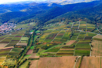 Aerial view of Dierbachtal in Oberotterbach in the state Rhineland-Palatinate, Germany