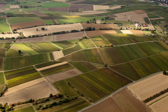 Aerial photograpy of Mosaic of fields and vineyards along the Rußbach stream in Schweighofen in the state Rhineland-Palatinate, Germany
