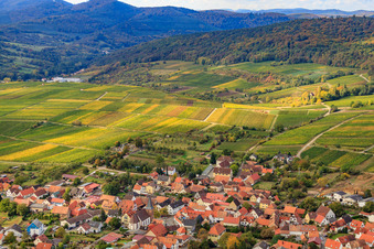 Aerial view of Sonnenberg vineyard in the district Schweigen in Schweigen-Rechtenbach in the state Rhineland-Palatinate, Germany