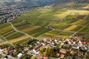 Sonnenberg in the district Schweigen in Schweigen-Rechtenbach in the state Rhineland-Palatinate, Germany from above