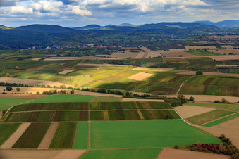 View of the town from the southeast in Oberotterbach in the state Rhineland-Palatinate, Germany