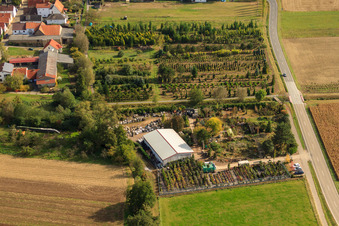 Aerial view of Tree nursery in the district Schaidt in Wörth am Rhein in the state Rhineland-Palatinate, Germany