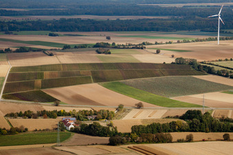 Windmill near watermill Altmuehle on a farm homestead on the edge of cultivated fields in Minfeld in the state Rhineland-Palatinate