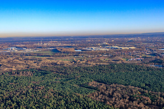 City behind the Bienwald from the northwest in Wörth am Rhein in the state Rhineland-Palatinate, Germany