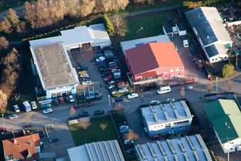 In the Niederwiesen in Wörth am Rhein in the state Rhineland-Palatinate, Germany