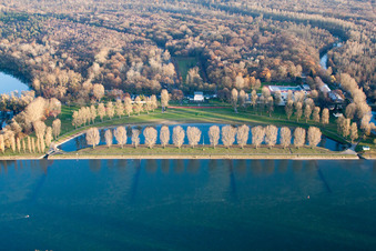 Aerial view of Rappenwört beach on the banks of the Rhine in the district Daxlanden in Karlsruhe in the state Baden-Wuerttemberg, Germany
