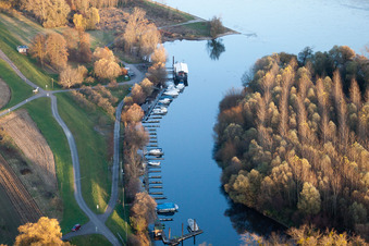 Marina in the Lauter estuary to the Rhine in Neuburg am Rhein in the state Rhineland-Palatinate, Germany