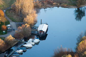 Lautermuschel in the Lauter estuary in Neuburg am Rhein in the state Rhineland-Palatinate, Germany