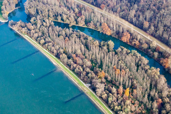 Rowers on the Rhine near Rappenwört in the district Daxlanden in Karlsruhe in the state Baden-Wuerttemberg, Germany