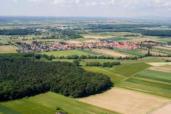 Aerial photograpy of From the north in Erlenbach bei Kandel in the state Rhineland-Palatinate, Germany