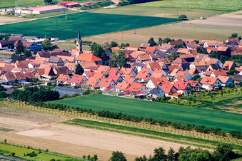 Village - view on the edge of agricultural fields and farmland in Erlenbach bei Kandel in the state Rhineland-Palatinate