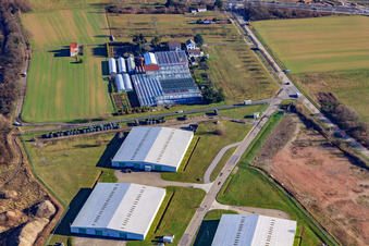 Felix Trauth Horticulture in the district Knielingen in Karlsruhe in the state Baden-Wuerttemberg, Germany