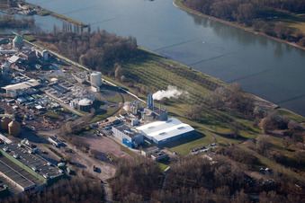 Oblique view of Maxau, Stora Enso in the district Knielingen in Karlsruhe in the state Baden-Wuerttemberg, Germany