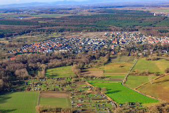 View of the town from the east in Jockgrim in the state Rhineland-Palatinate, Germany