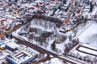 Swan pond frozen in winter in Kandel in the state Rhineland-Palatinate, Germany
