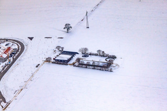 Farmstead in winter with snow in Kandel in the state Rhineland-Palatinate, Germany