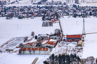 Village market Schoßberghof In winter with snow in Minfeld in the state Rhineland-Palatinate, Germany