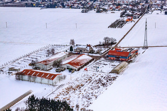Aerial view of Village market Schoßberghof In winter with snow in Minfeld in the state Rhineland-Palatinate, Germany