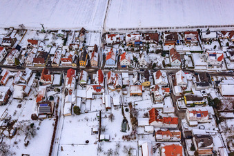 Aerial view of Gänsried in winter with snow in Freckenfeld in the state Rhineland-Palatinate, Germany