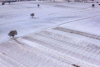 Aerial view of Winter vineyard in the district Kleinsteinfeld in Niederotterbach in the state Rhineland-Palatinate, Germany