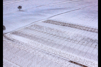 Aerial photograpy of Winter vineyard in the district Kleinsteinfeld in Niederotterbach in the state Rhineland-Palatinate, Germany