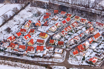 Night grazing in snow in Winden in the state Rhineland-Palatinate, Germany