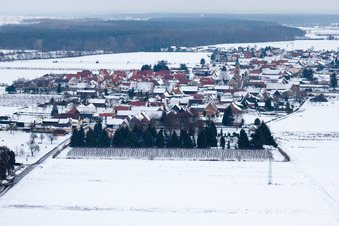 In winter with snow from the west in Erlenbach bei Kandel in the state Rhineland-Palatinate, Germany