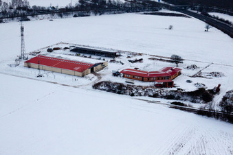 Chicken farm egg farm in winter with snow in Erlenbach bei Kandel in the state Rhineland-Palatinate, Germany