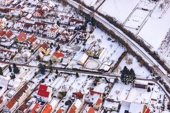 Mirabelle garden in the snow in Kandel in the state Rhineland-Palatinate, Germany