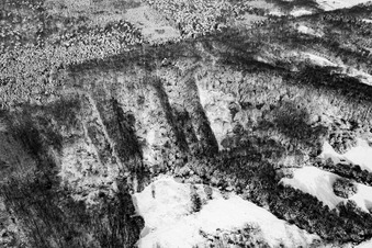 Snow-covered clearings of the former Jockgrim clay pits in the winter forest at Schmerbach in Jockgrim in the state Rhineland-Palatinate, Germany