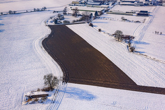 Field freshly manured in winter with snow in Neupotz in the state Rhineland-Palatinate, Germany