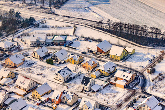 Aerial view of Plantation in winter with snow in Rheinzabern in the state Rhineland-Palatinate, Germany