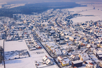 In the nest in winter with snow in Hatzenbühl in the state Rhineland-Palatinate, Germany