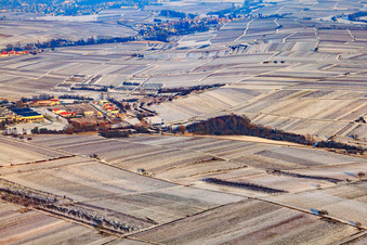 At the Ahlmühle in winter with snow in Ilbesheim bei Landau in the state Rhineland-Palatinate, Germany