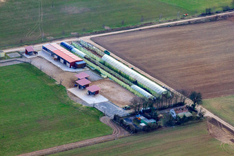 Farmer Karl's active stable on Eichhörnchenweg in the district Friedrichsfeld in Mannheim in the state Baden-Wuerttemberg, Germany