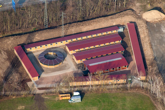 Aerial view of Racetrack racecourse Waldrennbahn Seckenheim in the district Seckenheim in Mannheim in the state Baden-Wurttemberg, Germany