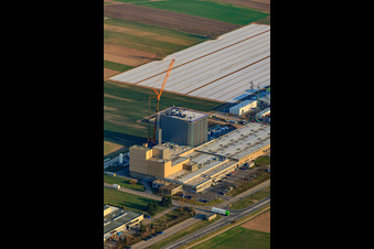Anhalter Straße industrial area with Air-O-Tec GmbH and NewCoffee GmbH & Co. OHG in Ketsch in the state Baden-Wuerttemberg, Germany