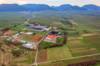 Oblique view of At the Ahlmühle, German Wine Gate eG in Ilbesheim bei Landau in the state Rhineland-Palatinate, Germany