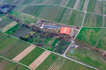 Oblique view of Horse boarding at Hirtenbrunner Hof on the Aalmühl in Ilbesheim bei Landau in the state Rhineland-Palatinate, Germany