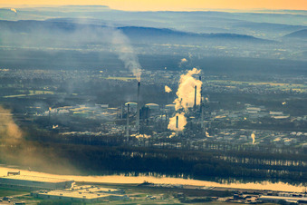 MIRO in the morning mist in the district Knielingen in Karlsruhe in the state Baden-Wuerttemberg, Germany