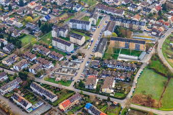 Sparben hedge in the district Maximiliansau in Wörth am Rhein in the state Rhineland-Palatinate, Germany
