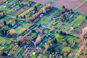 Allotment gardens in the district Daxlanden in Karlsruhe in the state Baden-Wuerttemberg, Germany