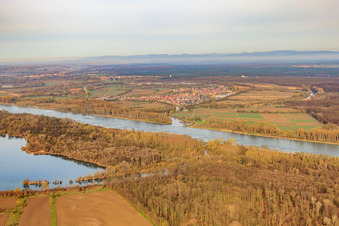 Lauter estuary in Neuburg am Rhein in the state Rhineland-Palatinate, Germany