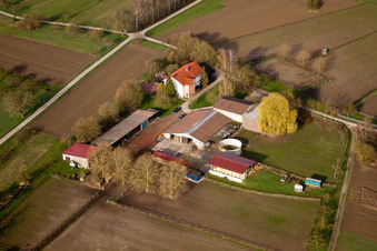 Horse boarding Renz in Au am Rhein in the state Baden-Wuerttemberg, Germany